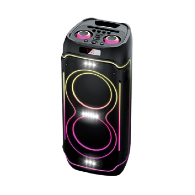 پارتی باکس 100 وات کربی مدل CR-21001